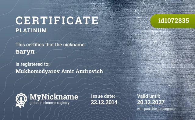Certificate for nickname вагул is registered to: Mukhomodyarov Amir Amirovich