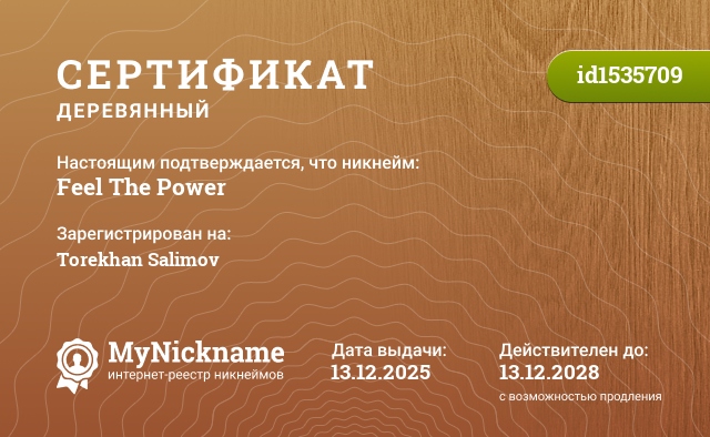 Сертификат на никнейм Feel The Power, зарегистрирован на Torekhan Salimov