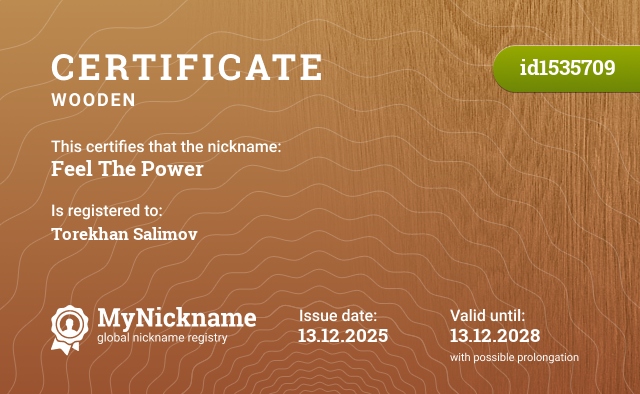 Certificate for nickname Feel The Power, registered to: Torekhan Salimov