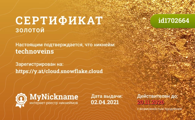 Сертификат на никнейм technoveins, зарегистрирован на https://y.at/cloud.snowflake.cloud
