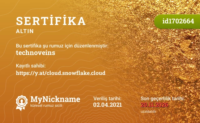 technoveins rumuzu için sertifika, kayıtlı sahibi: https://y.at/cloud.snowflake.cloud