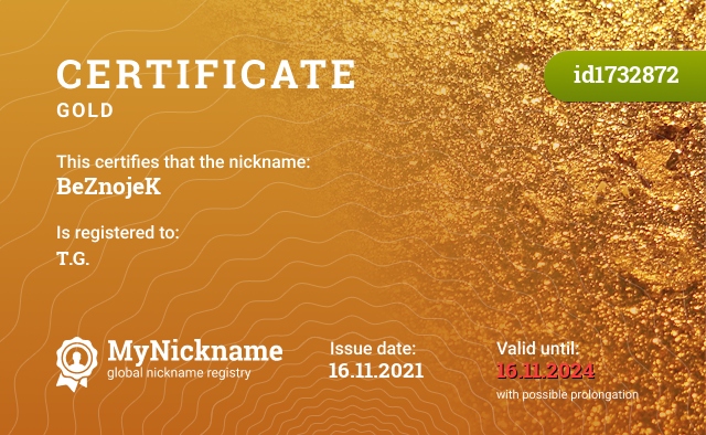 Certificate for nickname BeZnojeK, registered to: T.G.