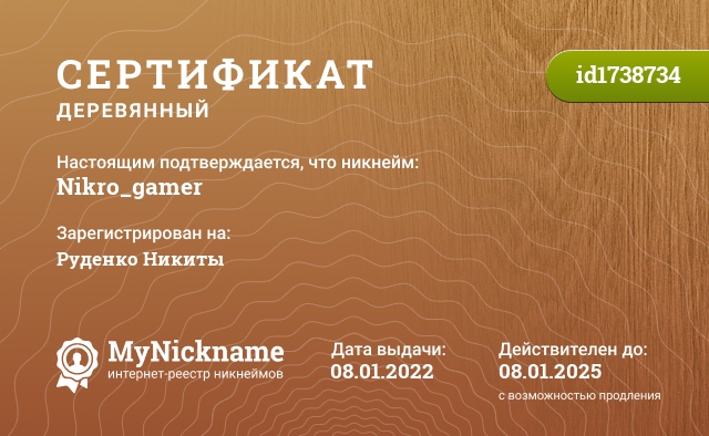 Сертификат на никнейм Nikro_gamer, зарегистрирован на Руденко Никиты