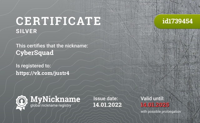 Certificate for nickname CyberSquad, registered to: https://vk.com/justr4