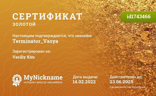 Сертификат на никнейм Terminator_Vasya, зарегистрирован на Vasiliy Kim