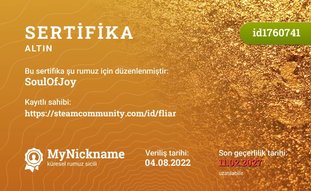 SoulOfJoy rumuzu için sertifika, kayıtlı sahibi: https://steamcommunity.com/id/fliar