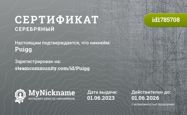 Сертификат на никнейм Puigg, зарегистрирован на steamcommunity.com/id/Puigg