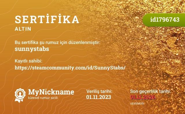 sunnystabs rumuzu için sertifika, kayıtlı sahibi: https://steamcommunity.com/id/SunnyStabs/