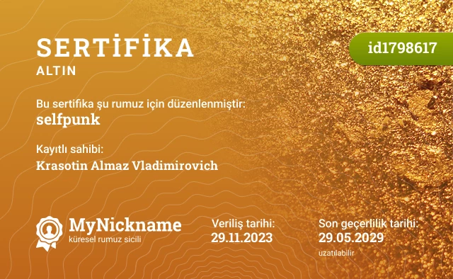 selfpunk rumuzu için sertifika, kayıtlı sahibi: Krasotin Almaz Vladimirovich