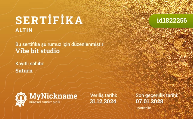 Vibe bit studio rumuzu için sertifika, kayıtlı sahibi: Saturn
