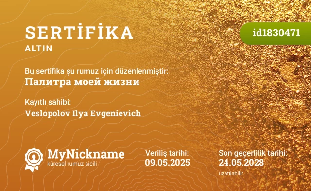 Палитра моей жизни rumuzu için sertifika, kayıtlı sahibi: Veslopolov Ilya Evgenievich