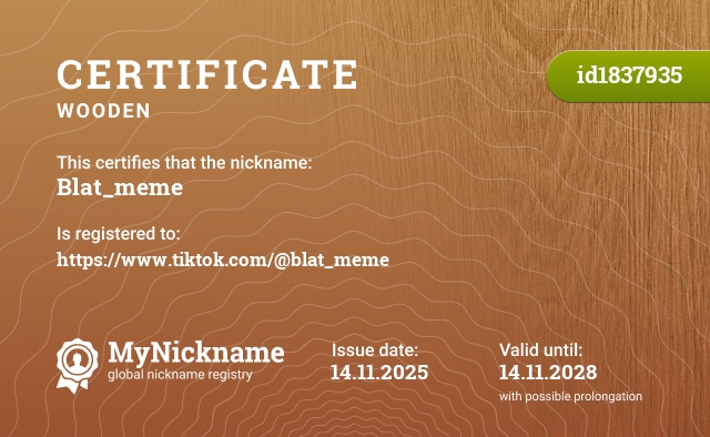 Certificate for nickname Blat_meme, registered to: https://www.tiktok.com/@blat_meme