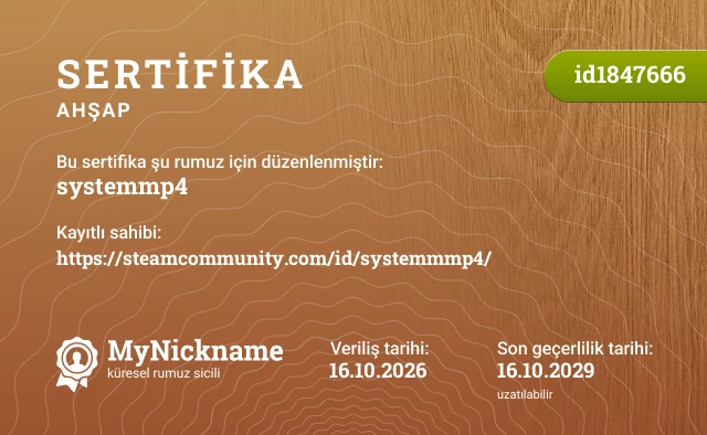 systemmp4 rumuzu için sertifika, kayıtlı sahibi: https://steamcommunity.com/id/systemmmp4/