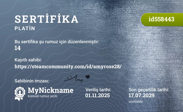 14 rumuzu için sertifika, kayıtlı sahibi: https://steamcommunity.com/id/amyrose28/