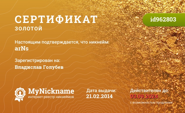 Сертификат на никнейм arNs, зарегистрирован на Владислав Голубев