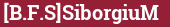 Brick with text [B.F.S]SiborgiuM