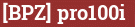 Brick with text [BPZ] pro100i