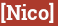 Brick with text [Nico]