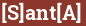 Кирпич с текстом [S]ant[A]