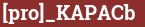 Brick with text [pro]_KAPACb