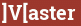 Brick with text ]V[aster