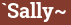 Brick with text `Sally~