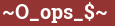 Brick with text ~O_ops_$~