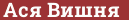 Brick with text Ася Вишня