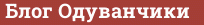Brick with text Блог Одуванчики