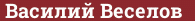 Brick with text Василий Веселов