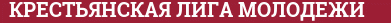 Кирпич с текстом КРЕСТЬЯНСКАЯ ЛИГА МОЛОДЕЖИ