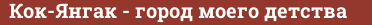 Brick with text Кок-Янгак - город моего детства