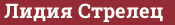 Кирпич с текстом Лидия Стрелец