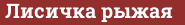 Brick with text Лисичка рыжая
