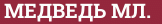 Brick with text МЕДВЕДЬ МЛ.