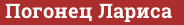 Brick with text Погонец Лариса