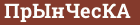 Brick with text ПрЫнЧесКА