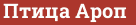 Brick with text Птица Ароп