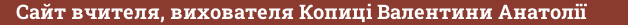 Brick with text Сайт вчителя, вихователя Копиці Валентини Анатолії