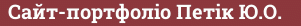 Brick with text Сайт-портфоліо Петік Ю.О.