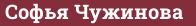 Brick with text Софья Чужинова