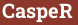 Brick with text СasреR