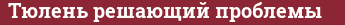 Brick with text Тюлень решающий проблемы