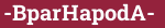 Brick with text -BparHapodA-