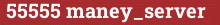 Brick with text 55555 maney_server