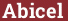 Brick with text Abicel