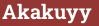 Кирпич с текстом Akakuyy