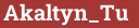 Brick with text Akaltyn_Tu