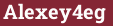 Brick with text Alexey4eg