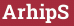 Brick with text ArhipS